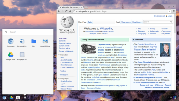 Chrome OS: Make it look like you're running it...